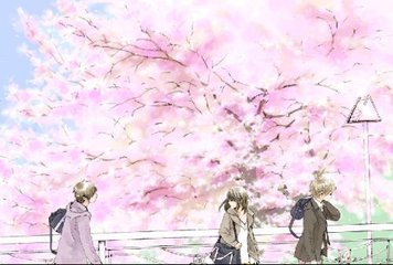 花季传媒优惠政策